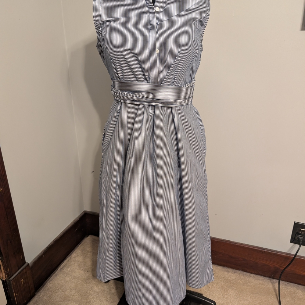 Banana Republic Blue and White Striped Midi Dress